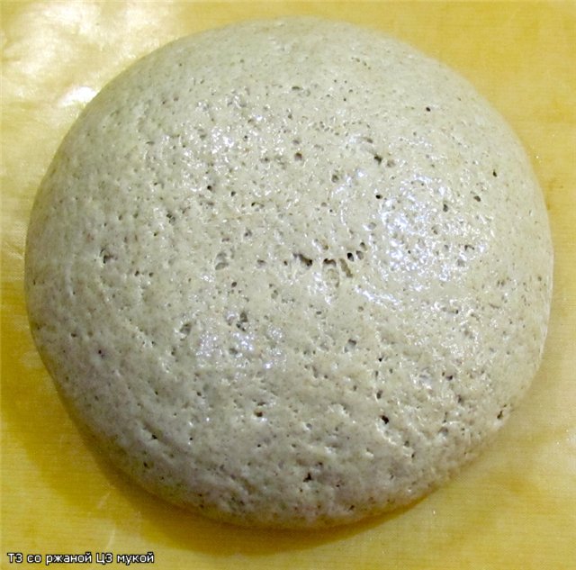 Pane di segale con farina integrale (forno)
