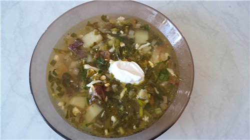 Yesil Shorba (zelená polévka)