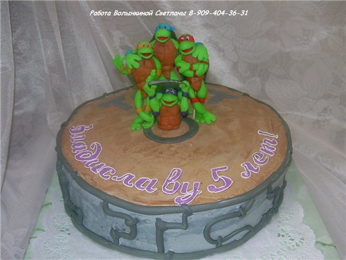 עוגות צבי הנינג'ה
