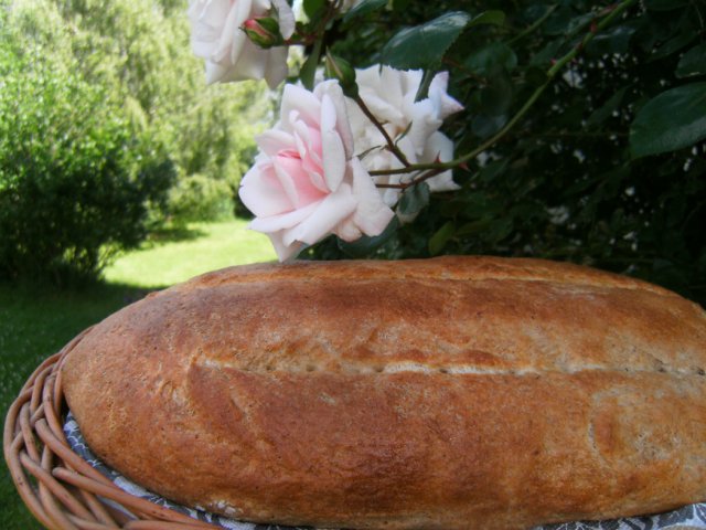 Bardzo prosty chleb pszenny