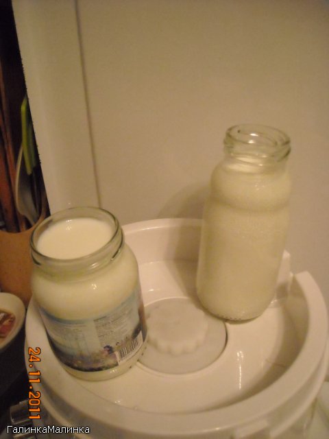 Yogur con cultivos iniciadores bacterianos (narine, Vivo, etc.)