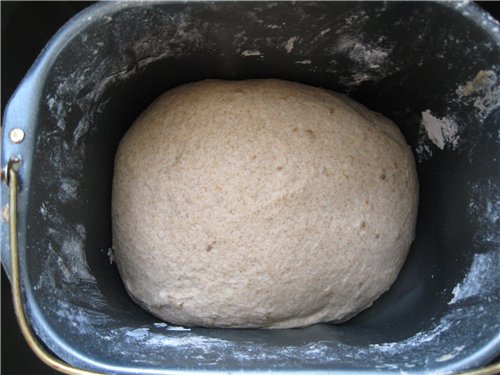 خبز الحبوب الكاملة عمره عشرين سنة مع الكزبرة.