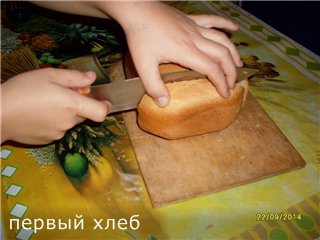 Bread maker Moulinex Uno Metall OW310E30