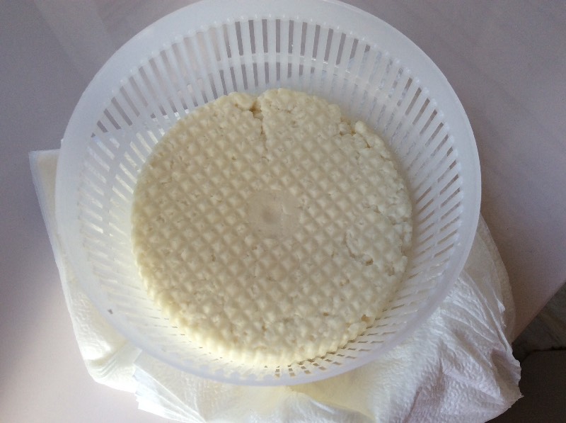 גבינה רכה טבעית תוצרת בית עם מחמצת פפסין