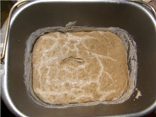 خبز الجاودار مع العدس والكزبرة.