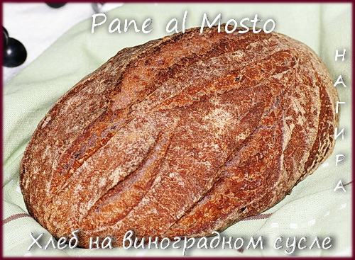 Pane al Mosto - Grape must bread