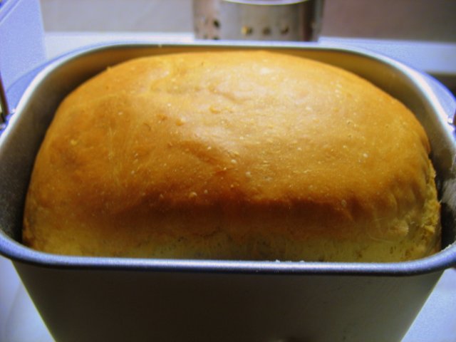 Boterbrood met sesammeel in een broodbakmachine