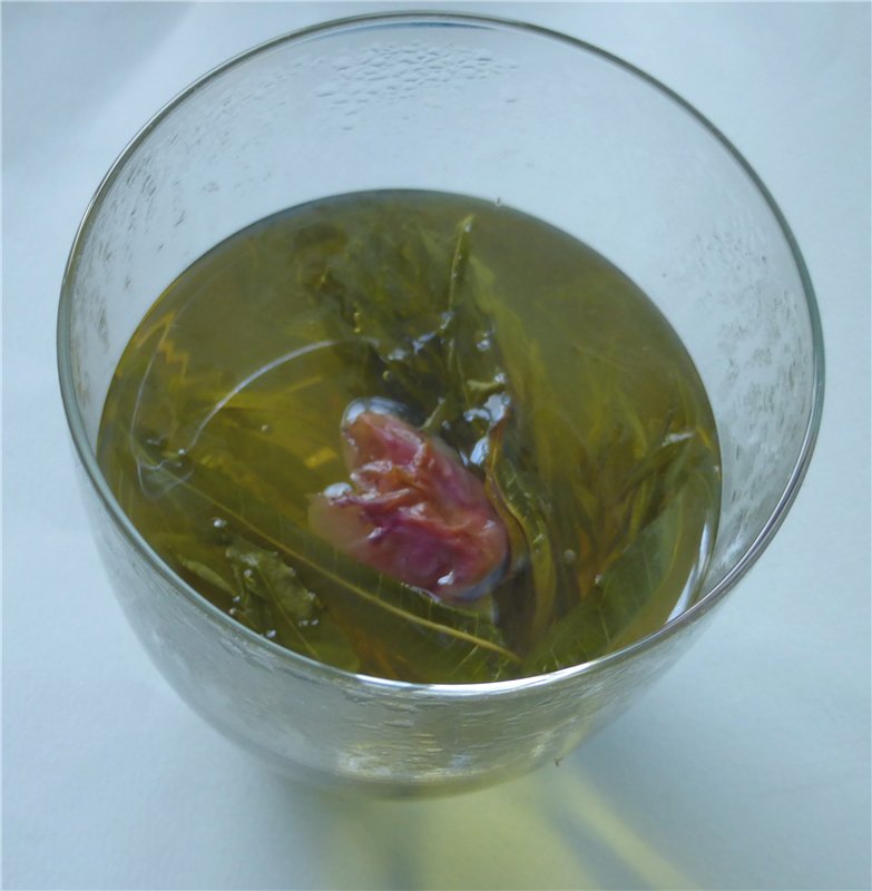 Related fermented willow tea with various additives