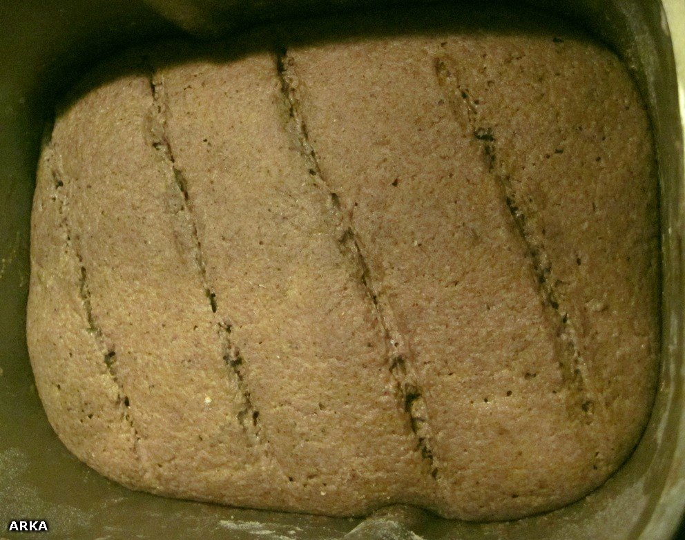 Zuurdesem Roggebrood in een broodbakmachine