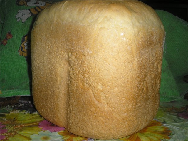 Macchina per il pane Binatone BM 1168