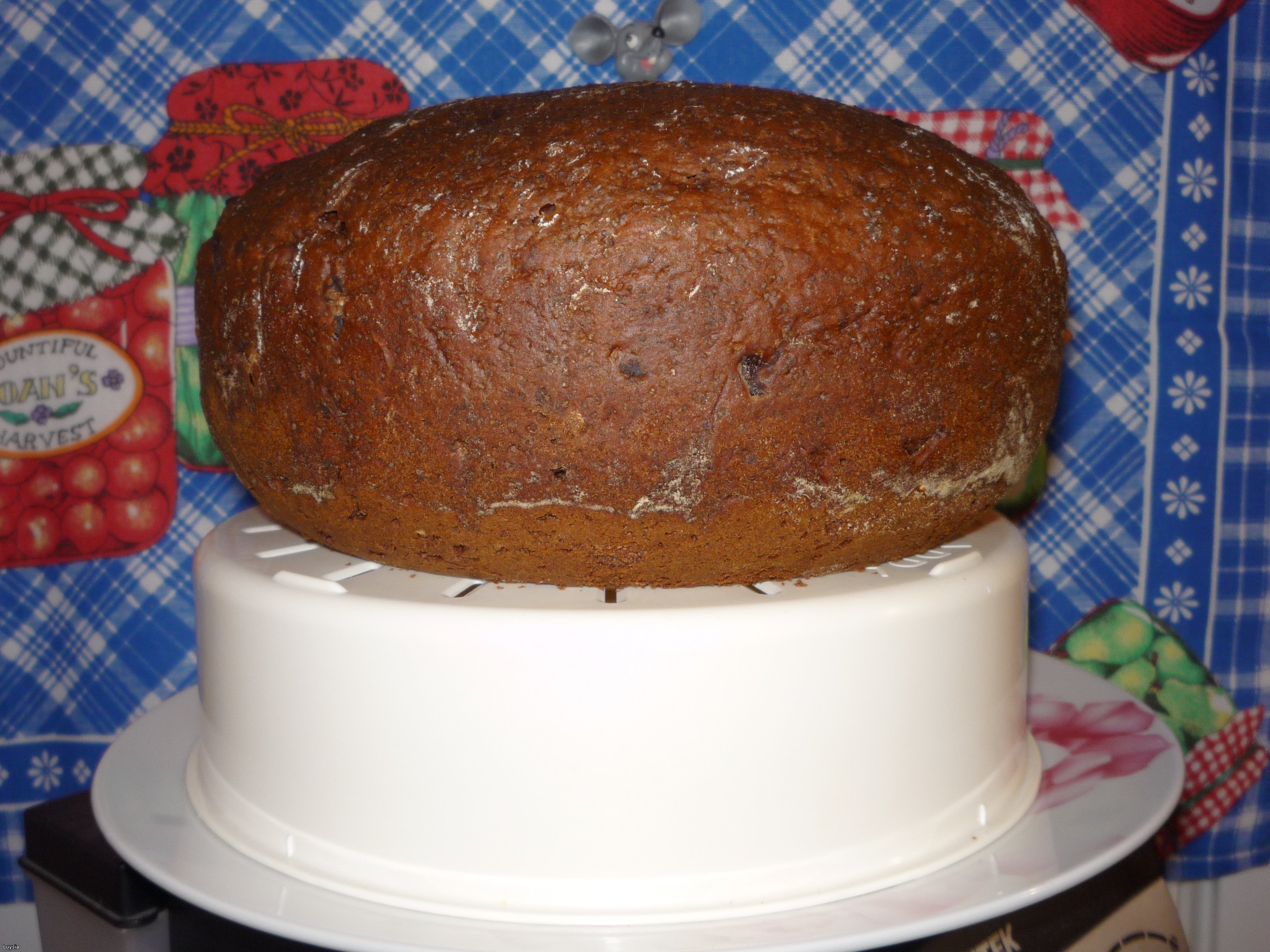 Chleb czekoladowy z wiśniami i makiem