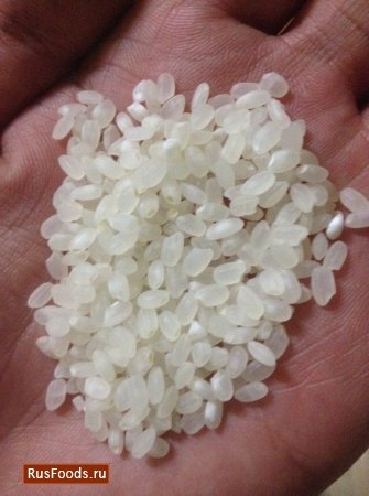 Rice in a multicooker Steba DD1