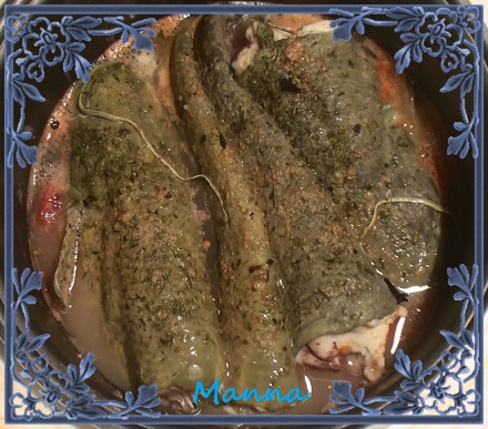 Catfish stewed in tomatoes (Kromax MC-31)