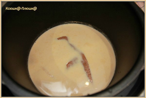 Baked milk in a multicooker Brand