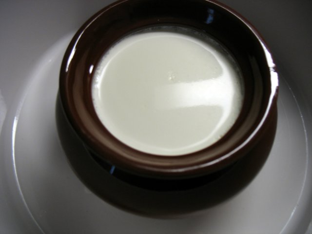 Yoghurt maker Brand 4001