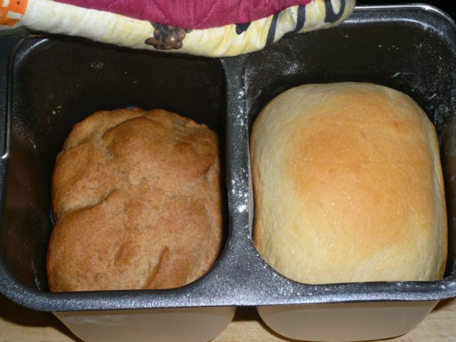 Brood bakken in de Daewoo DI-9154 broodbakmachine