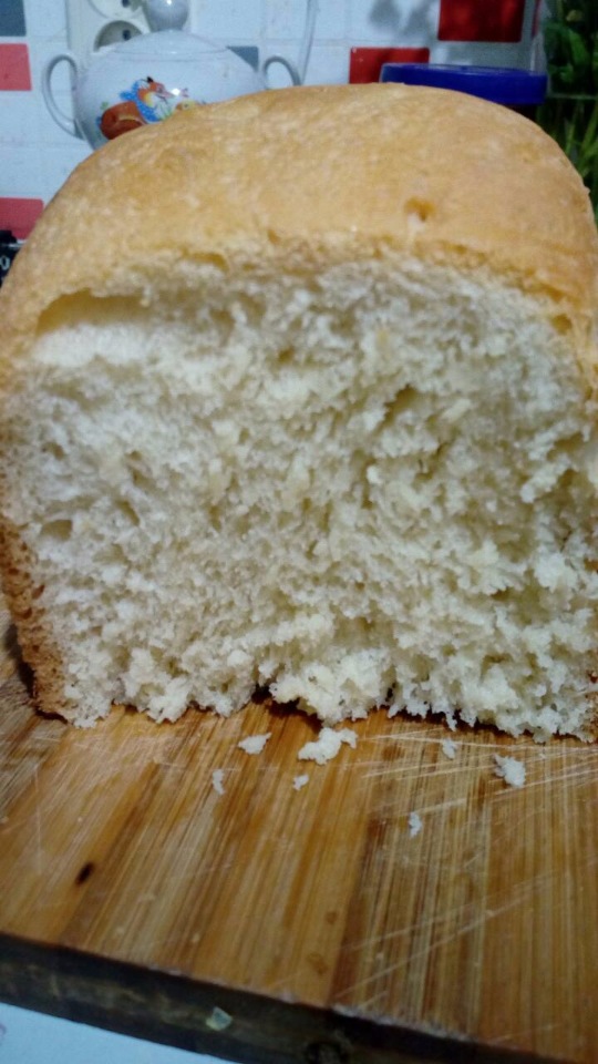 خبز أبيض ريفي في طباخ متعدد الطهي Polaris 0508D floris