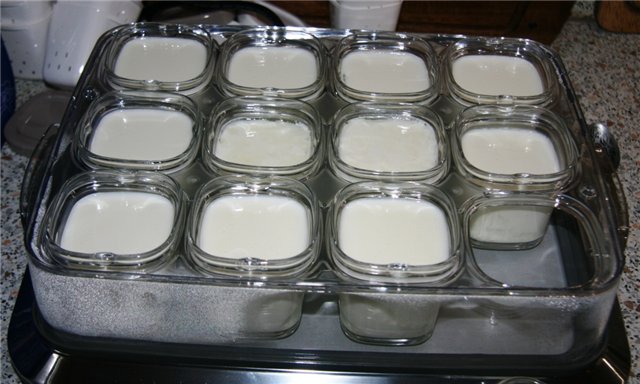 Yoghurt maker - selection, reviews, questions about operation (1)