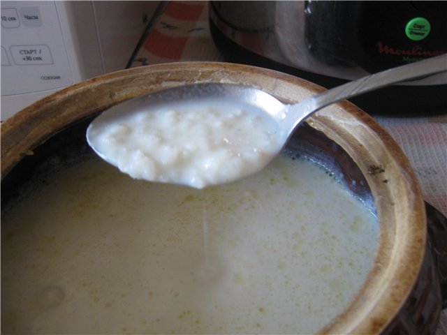For milk porridge: slow cooker or milk cooker?
