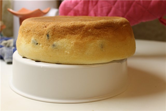 Cottage cheese ovenschotel (Panasonic SR-TMH 18)