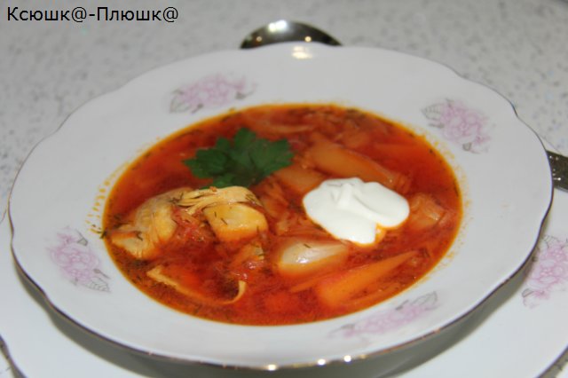 Borscht or first courses in the airfryer (Airfryer Brand 35128)