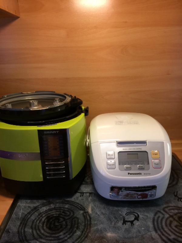 Small multicooker - which one?