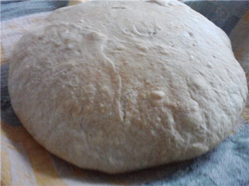 Brood Altamuro (Pane di Altamuro) in de oven