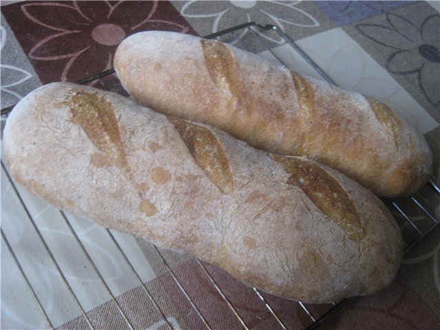 Rustic bread on a big