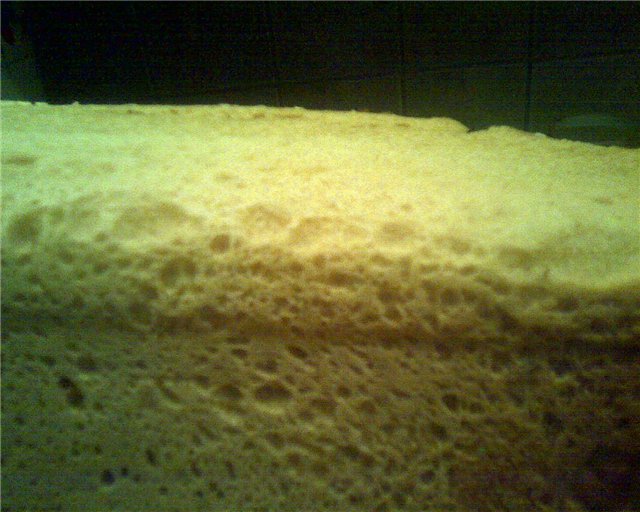 Pane a pasta matura (forno)
