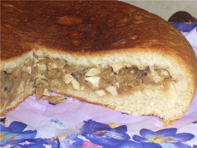 Pasta lievitata per torte (impastare in una macchina per il pane)