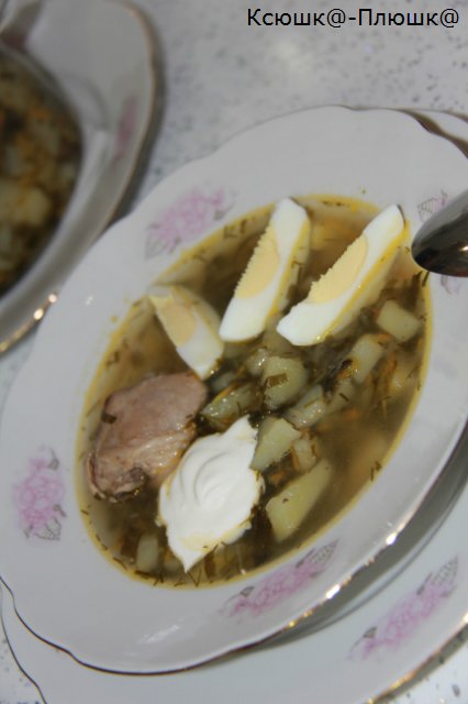 Zupa szczawiowa lub zielona zupa (marka 35128 airfryer)