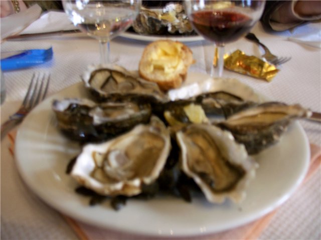 Oysters (master class)