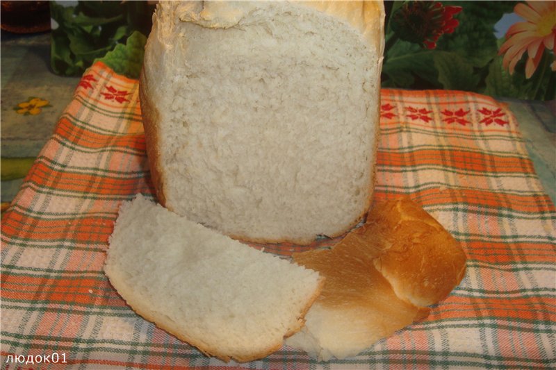 Moulinex. Variazioni sul tema Ricetta base del pane bianco per la macchina del pane Moulinex
