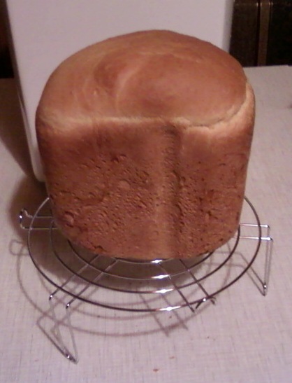 Gastronomisch brood (broodbakmachine)