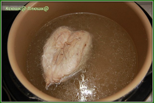 Sopa con fideos en caldo de pollo Pollo con huevo (Olla a presión Marca 6050)
