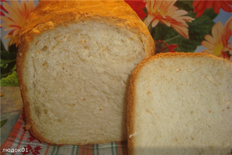 Panasonic SD-2501. Pane di grano per tutti i giorni.