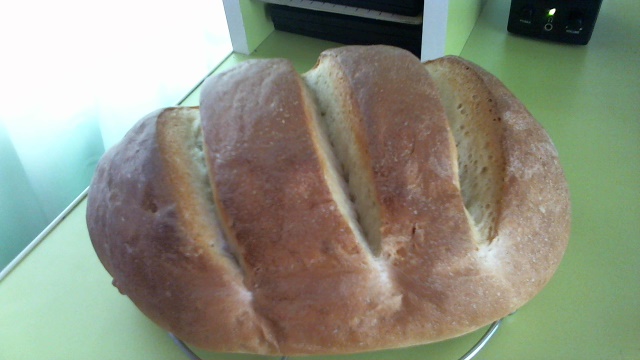 Grissia Piedmont bread