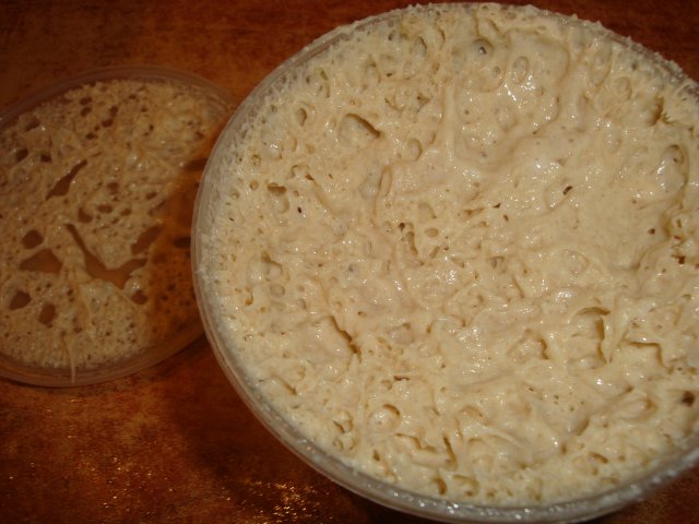 Pasta madre tradizionale francese (densa)