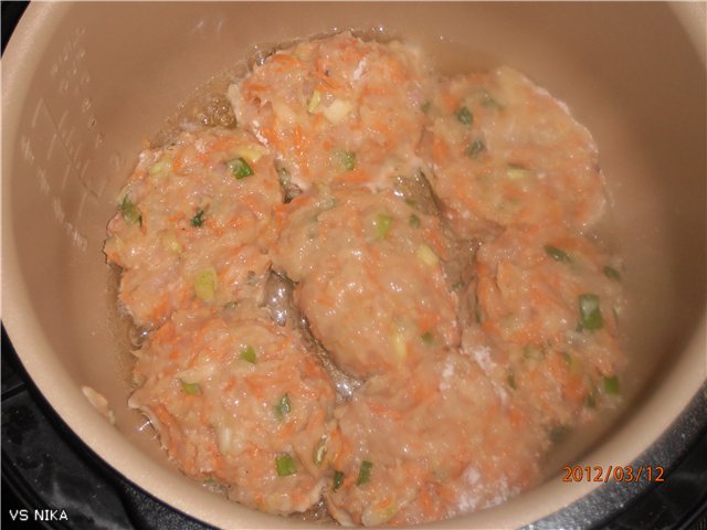 Chicken cutlets with carrots and herbs (Brand 6050 pressure cooker)