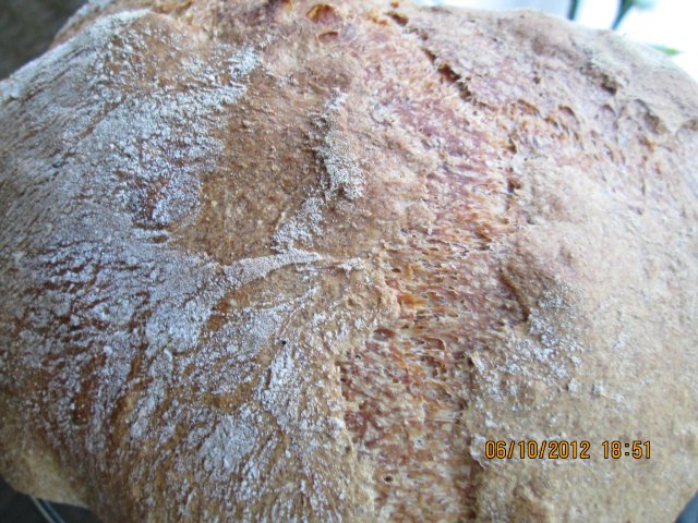 Pan de trigo rústico (Pane Bigio) al horno
