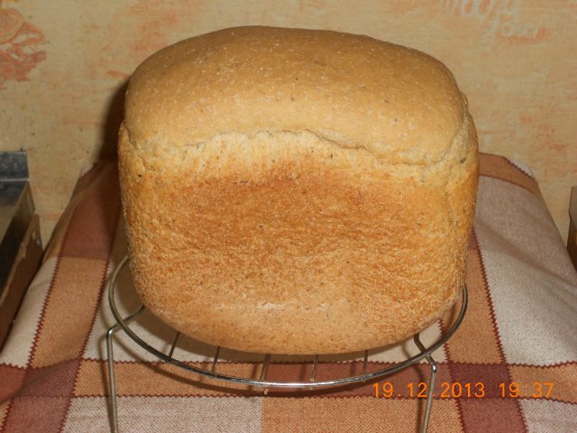 Brand 3801 Bread Maker Bucket Problem