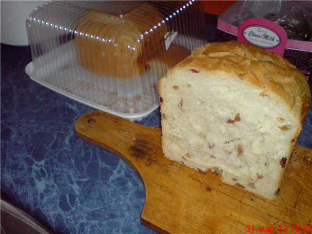 Panasonic 2500. Plain white bread with raisins