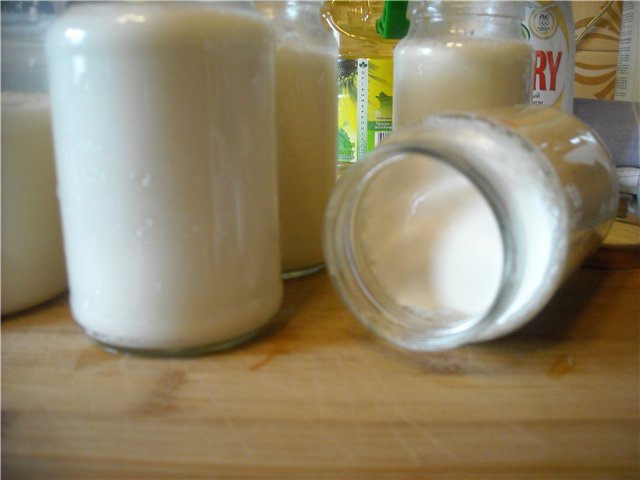 Yoghurt i Polaris 508 og i Binatone riskoker