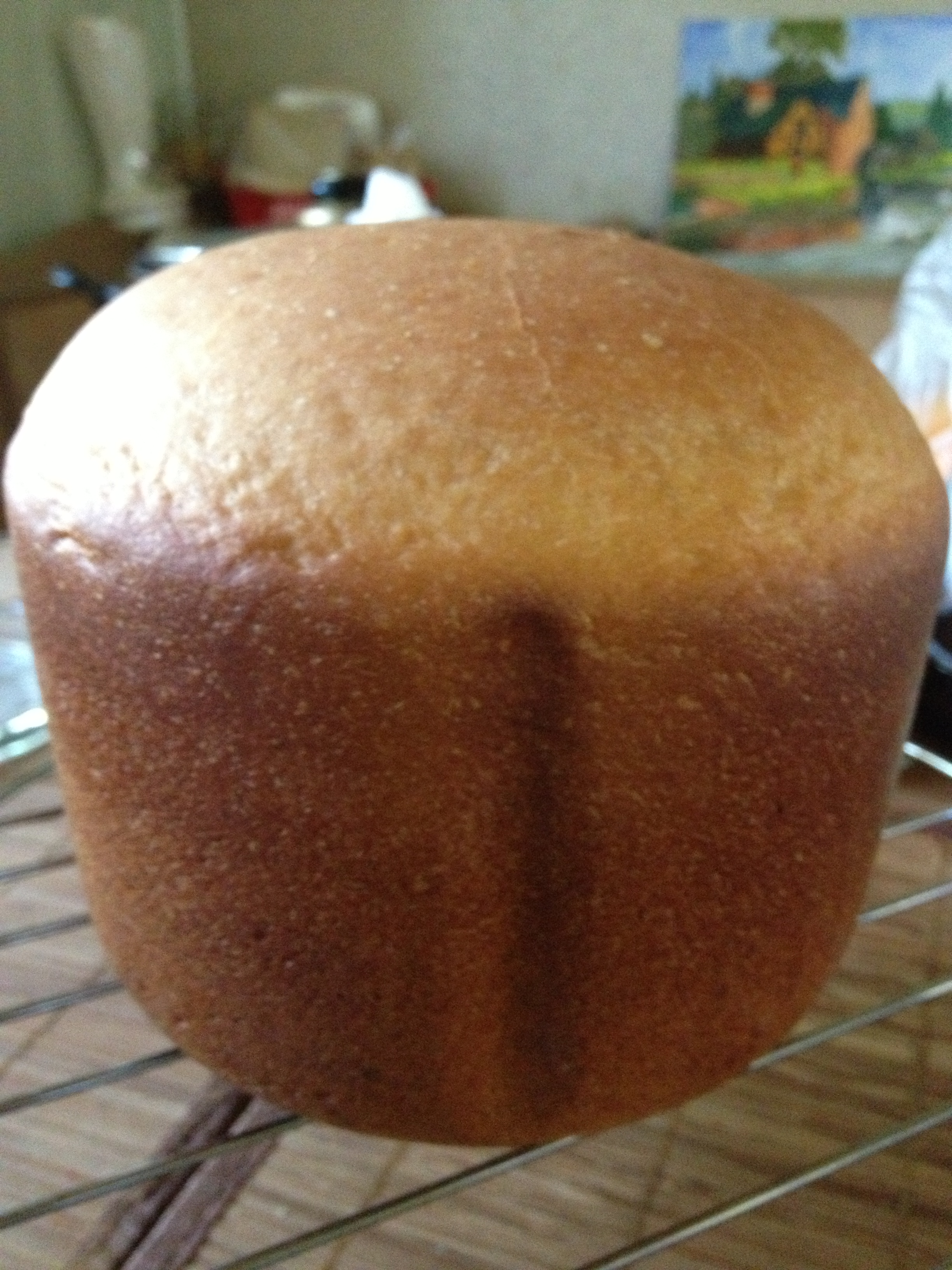 Bork. Cheese bread in a bread maker