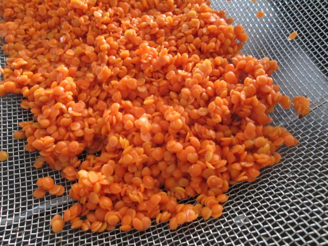 Masur Dal - zuppa di lenticchie rosse (multicooker marca 701)