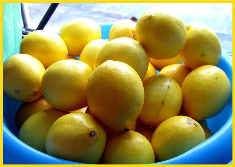 Sun-dried lemons, homemade