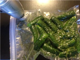 Lightly salted cucumbers in vacuum (CASO MyVac 20)