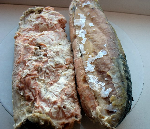 Rollo de filete de caballa y salmón rosado