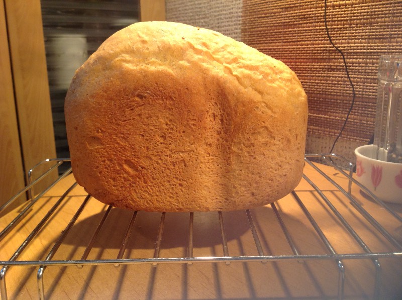 Tarwe-roggebrood met pompoen in een broodbakmachine