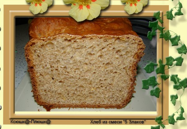 Brood van een mengsel van 5 granen (broodbakmachine)